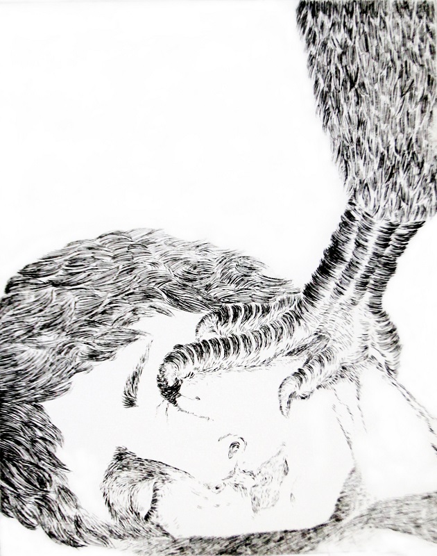 37th advice / Bird’s Nest