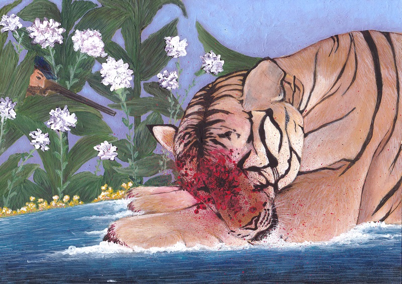 La tortuga gigante - 1